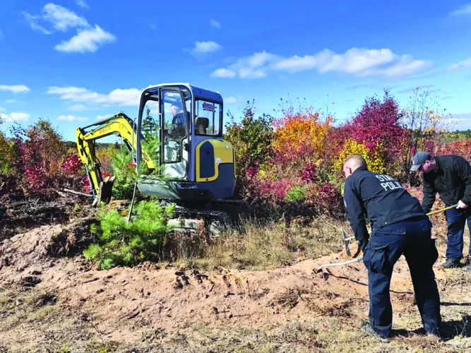 Digging for clues